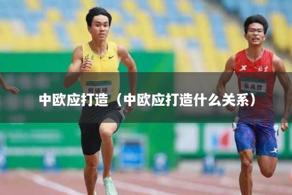 中欧应打造（中欧应打造什么关系）