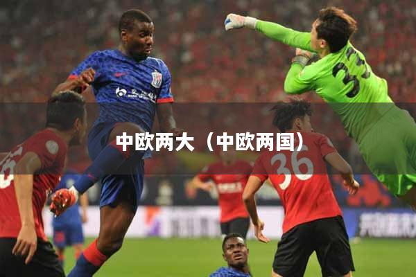 中欧两大（中欧两国）