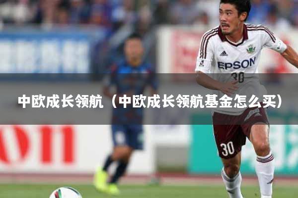 中欧成长领航（中欧成长领航基金怎么买）