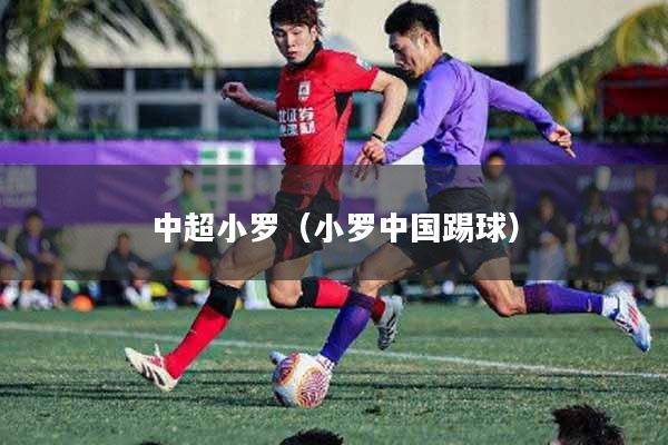 中超小罗（小罗中国踢球）