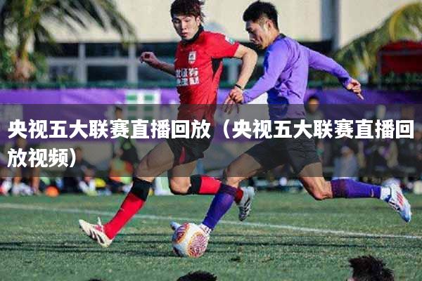 央视五大联赛直播回放（央视五大联赛直播回放视频）